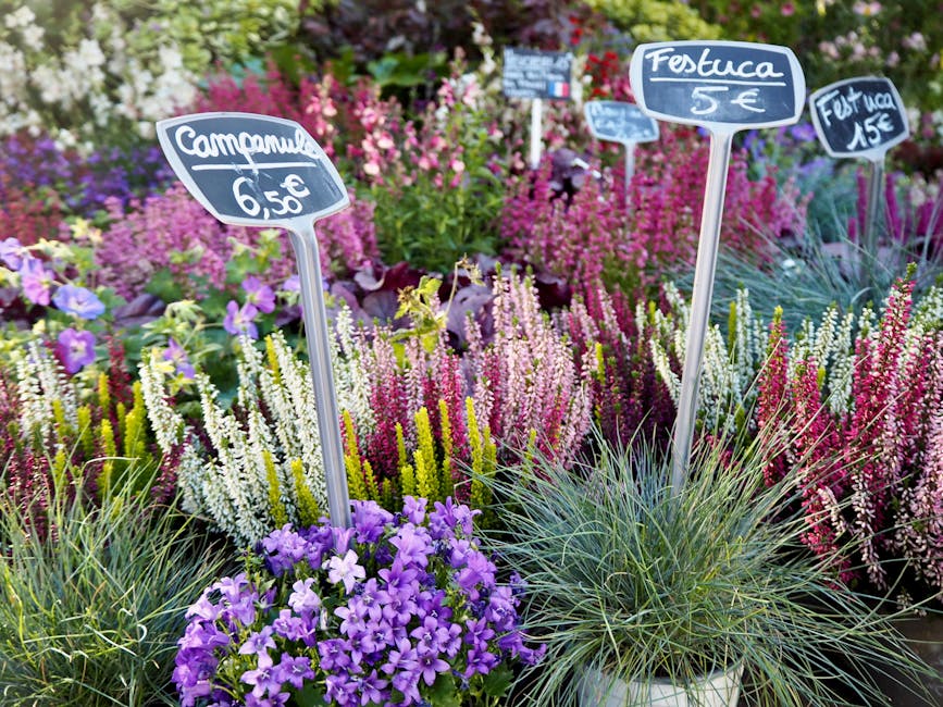 A colorful outdoor display of flowering plants with purple, white, pink, and green blooms, accompanied by small handwritten price signs on sticks, with labels such as 'Comune 6.50€', 'Festuca 5€',