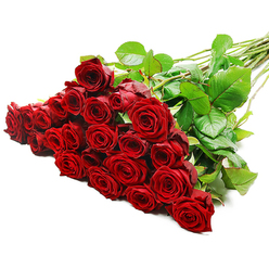 RED ROSES SERVICE ARRANGEMENT